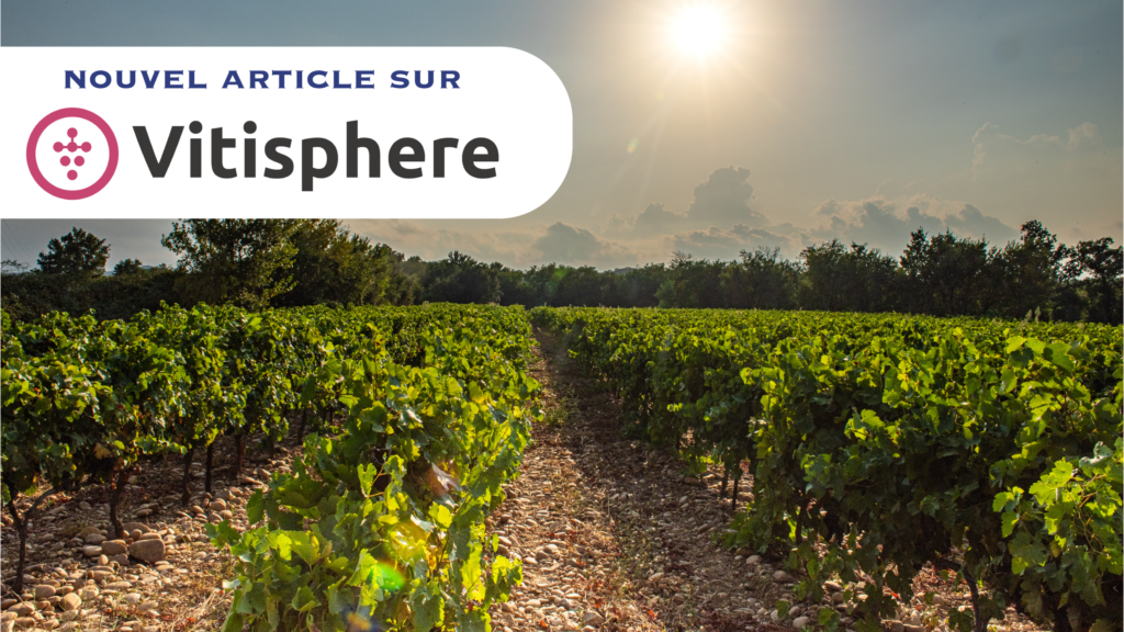 Un premier article consacré au Domaine dans Vitisphere
