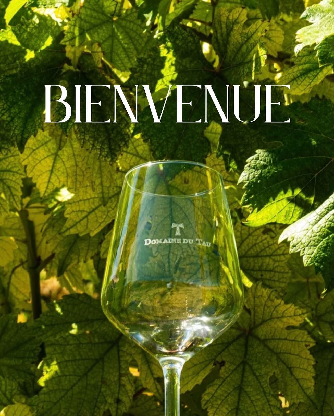 Les vignes
